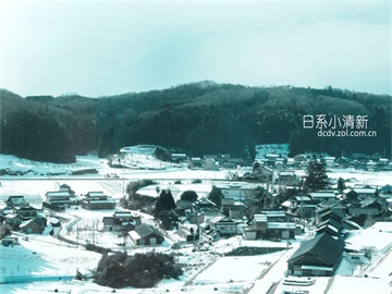 什么决定青藏高原高山特有物种多样性？科学家找到答案