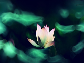 探秘矿洞中的水晶宫殿：小晶洞的诞生之谜