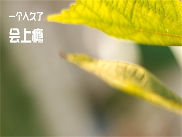 生活百科丨蜂蜜结晶了还能吃吗？真相在这里