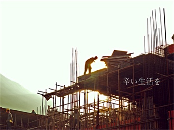 繁衍速度快、90%以上家里都有，这种“虫子”不要用手拍！